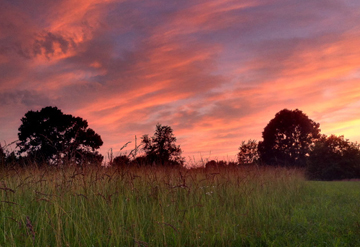 Sunset In Summertown