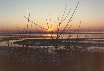 Cape Cod Sunrise